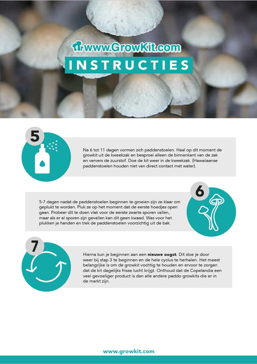 Hawaiian-GrowKit instructies NL achterkant