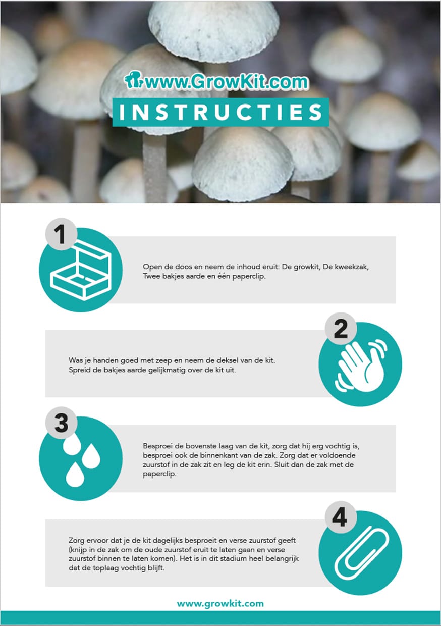 Instruções do Hawaiian-GrowKit PT frente