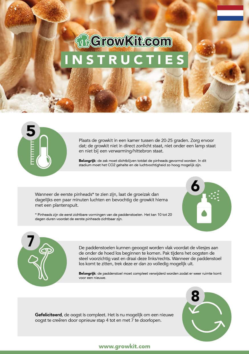 Paddo Growkit instructies paddo.shop achterkant