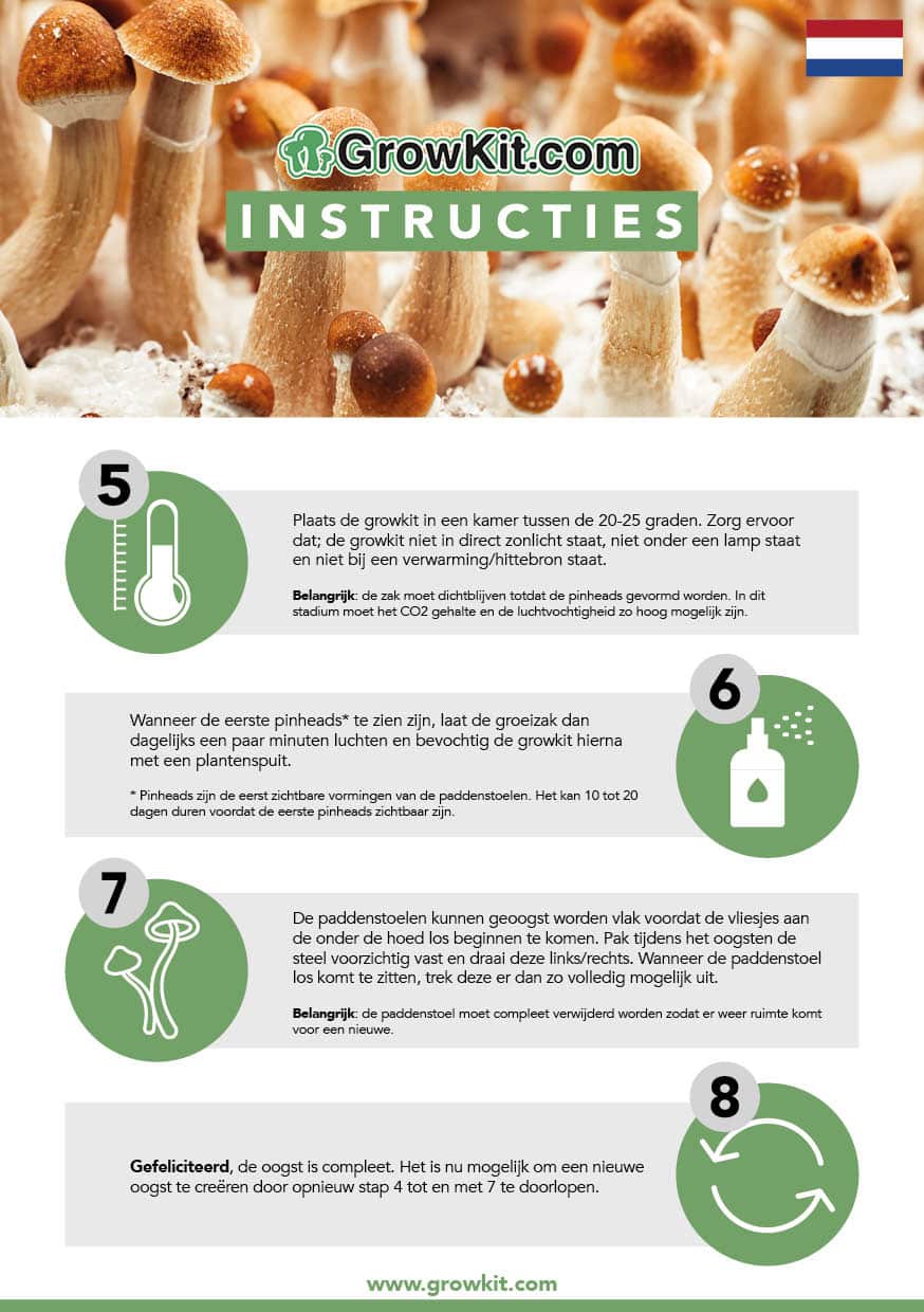 Mushroom Growkit instructions mushroom.shop back cover