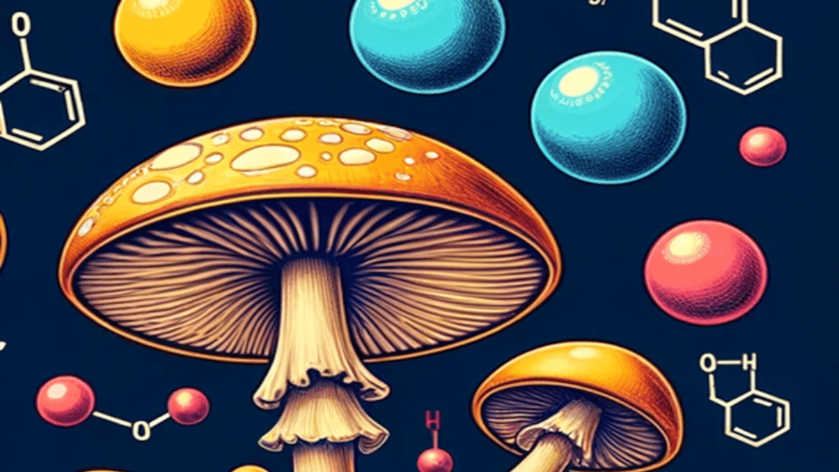 látky psilocybin a psilocin