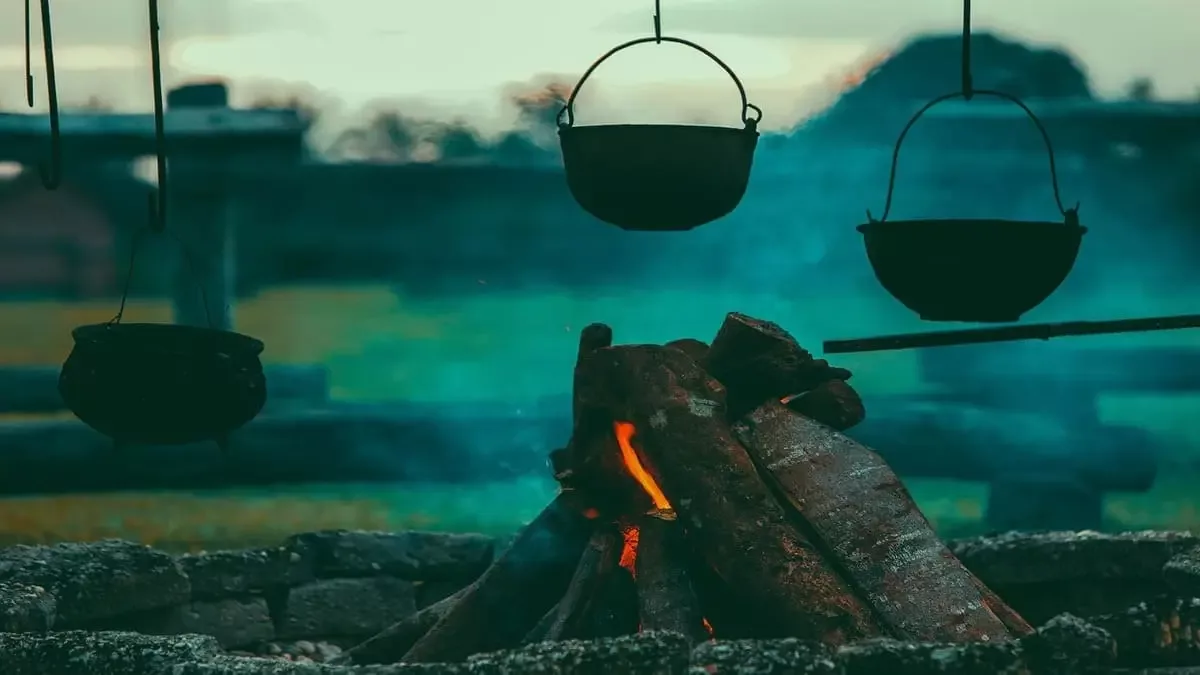 Cogumelos's na cozinha: conselhos culinários para preparar pratos psicadélicos